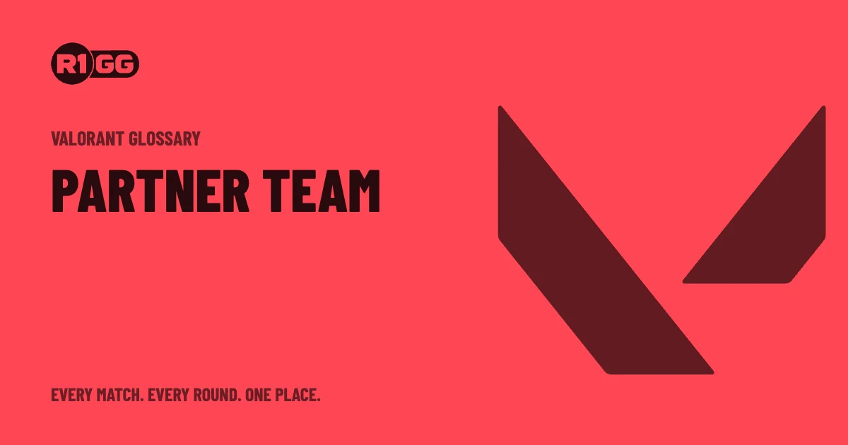 Partner team